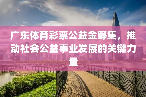 广东体育彩票公益金筹集，推动社会公益事业发展的关键力量