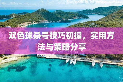 双色球杀号技巧初探，实用方法与策略分享