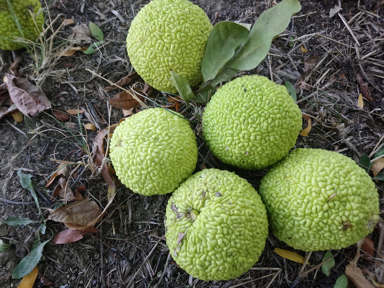 广东体育彩票店，繁荣与活力的交汇点